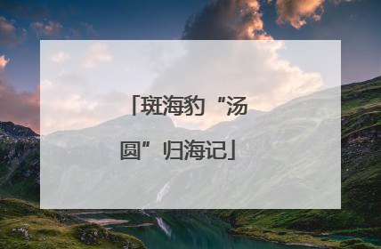 斑海豹“汤圆”归海记