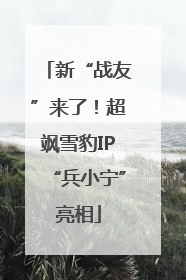 新“战友”来了！超飒雪豹IP“兵小宁”亮相