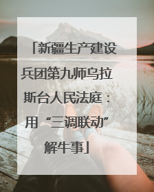 新疆生产建设兵团第九师乌拉斯台人民法庭：用“三调联动”解牛事
