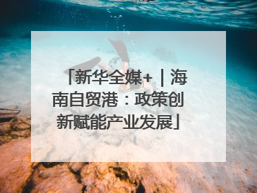新华全媒+｜海南自贸港：政策创新赋能产业发展