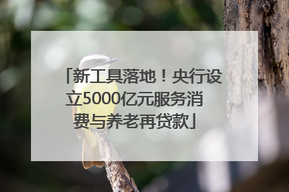 新工具落地！央行设立5000亿元服务消费与养老再贷款