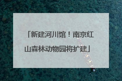 新建河川馆！南京红山森林动物园将扩建