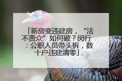 新房变违建房，“法不责众”如何破？闵行：公职人员带头拆，数十户违建清零