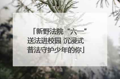 新野法院“六一”送法进校园 沉浸式普法守护少年的你