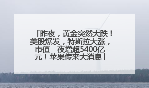 昨夜，黄金突然大跌！美股爆发，特斯拉大涨，市值一夜增超5400亿元！苹果传来大消息
