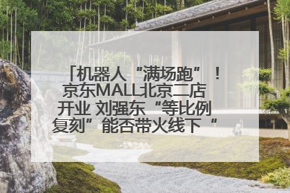 机器人“满场跑”！京东MALL北京二店开业 刘强东“等比例复刻”能否带火线下“618”？