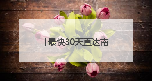 最快30天直达南美东主要港口！南沙-南美东“金砖快航”全面升级优化