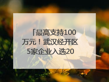 最高支持100万元！武汉经开区5家企业入选2025年度武汉市重点研发计划拟立项项目名单