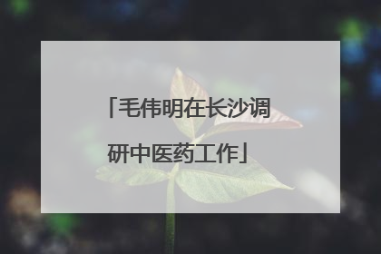 毛伟明在长沙调研中医药工作