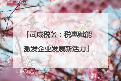 武威税务：税惠赋能 激发企业发展新活力