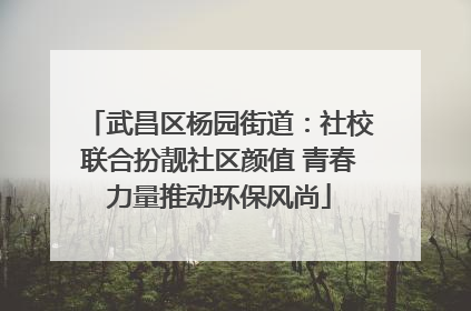 武昌区杨园街道：社校联合扮靓社区颜值 青春力量推动环保风尚