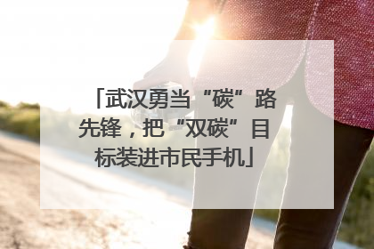 武汉勇当“碳”路先锋，把“双碳”目标装进市民手机
