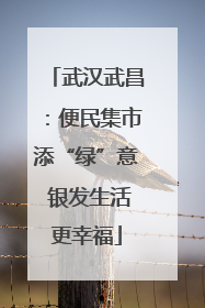 武汉武昌：便民集市添“绿”意 银发生活更幸福
