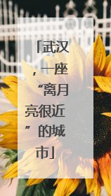 武汉，一座“离月亮很近”的城市