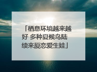 栖息环境越来越好 多种夏候鸟陆续来厦恋爱生娃