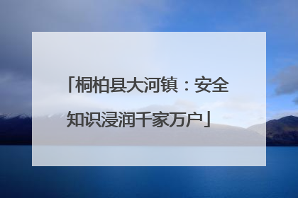 桐柏县大河镇：安全知识浸润千家万户
