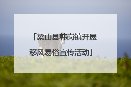 梁山县韩岗镇开展移风易俗宣传活动