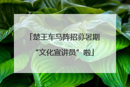 楚王车马阵招募暑期“文化宣讲员”啦