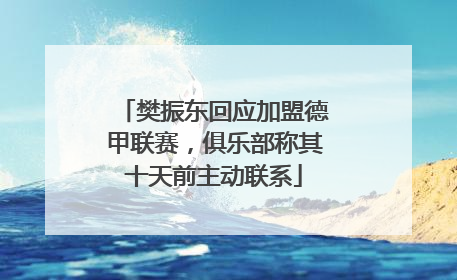 樊振东回应加盟德甲联赛，俱乐部称其十天前主动联系