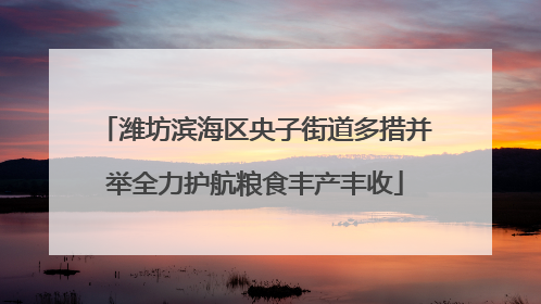 潍坊滨海区央子街道多措并举全力护航粮食丰产丰收