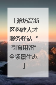 潍坊高新区构建人才服务驿站“引育用留”全场景生态