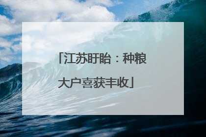 江苏盱眙：种粮大户喜获丰收