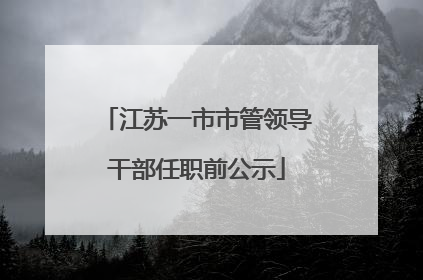 江苏一市市管领导干部任职前公示