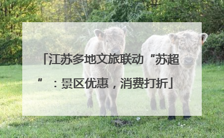 江苏多地文旅联动“苏超”：景区优惠，消费打折