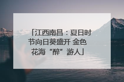 江西南昌：夏日时节向日葵盛开 金色花海“醉”游人