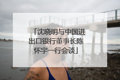 沈晓明与中国进出口银行董事长陈怀宇一行会谈