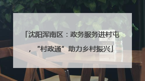 沈阳浑南区：政务服务进村屯，“村政通”助力乡村振兴