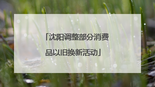沈阳调整部分消费品以旧换新活动