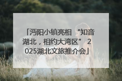 沔阳小镇亮相 “知音湖北，相约大湾区” 2025湖北文旅推介会