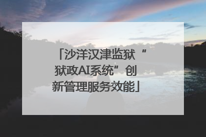 沙洋汉津监狱“狱政AI系统”创新管理服务效能
