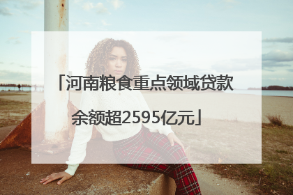 河南粮食重点领域贷款余额超2595亿元