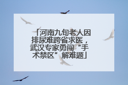 河南九旬老人因排尿难跨省求医，武汉专家勇闯“手术禁区”解难题