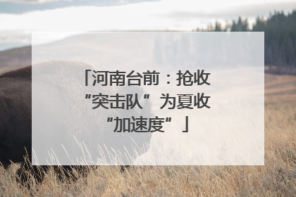 河南台前：抢收“突击队”为夏收“加速度”