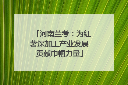 河南兰考：为红薯深加工产业发展贡献巾帼力量