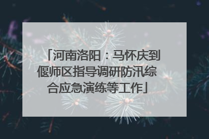 河南洛阳：马怀庆到偃师区指导调研防汛综合应急演练等工作