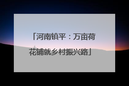 河南镇平：万亩荷花铺就乡村振兴路