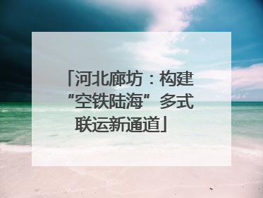 河北廊坊：构建“空铁陆海”多式联运新通道