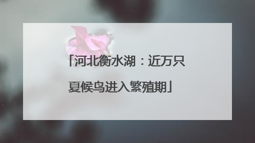 河北衡水湖：近万只夏候鸟进入繁殖期