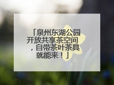 泉州东湖公园开放共享茶空间，自带茶叶茶具就能来！