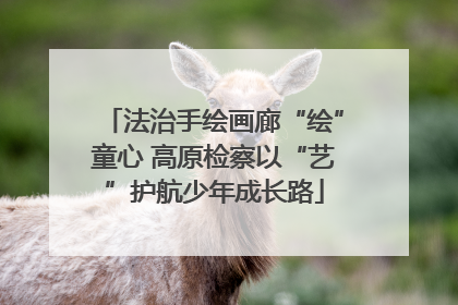 法治手绘画廊“绘”童心 高原检察以“艺”护航少年成长路