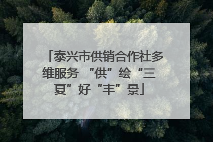 泰兴市供销合作社多维服务 “供”绘“三夏”好“丰”景