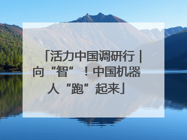活力中国调研行｜向“智”！中国机器人“跑”起来