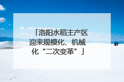洛阳水稻主产区迎来规模化、机械化“二次变革”