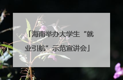 海南举办大学生“就业引航”示范宣讲会
