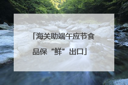 海关助端午应节食品保“鲜”出口