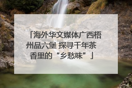 海外华文媒体广西梧州品六堡 探寻千年茶香里的“乡愁味”